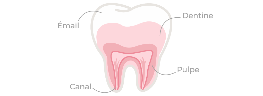 Les Dents Apesal